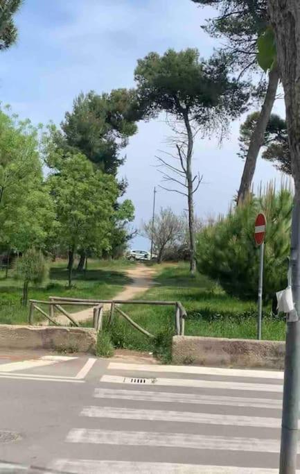 Appartamento Casa Vacanze Montesilvano Marina Exteriér fotografie